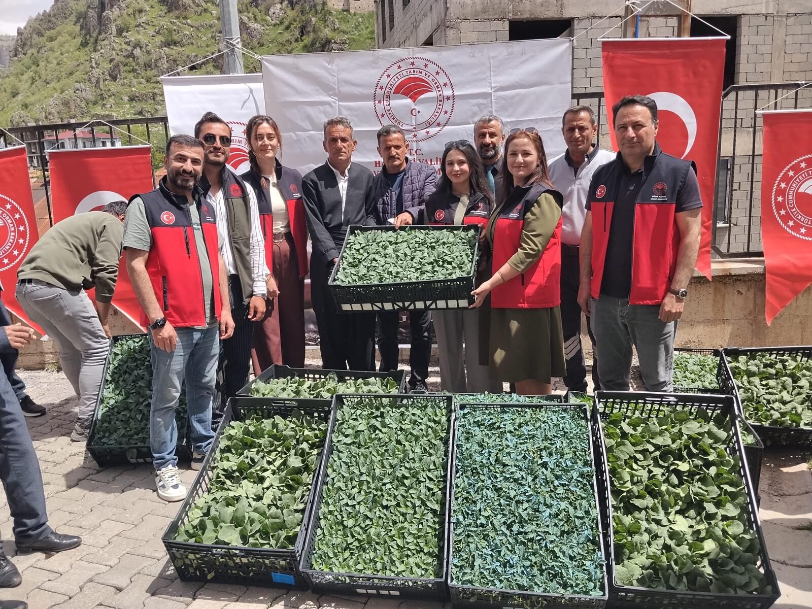 Çukurca'da çiftçilere 34 bin fide aşılı dağıtıldı