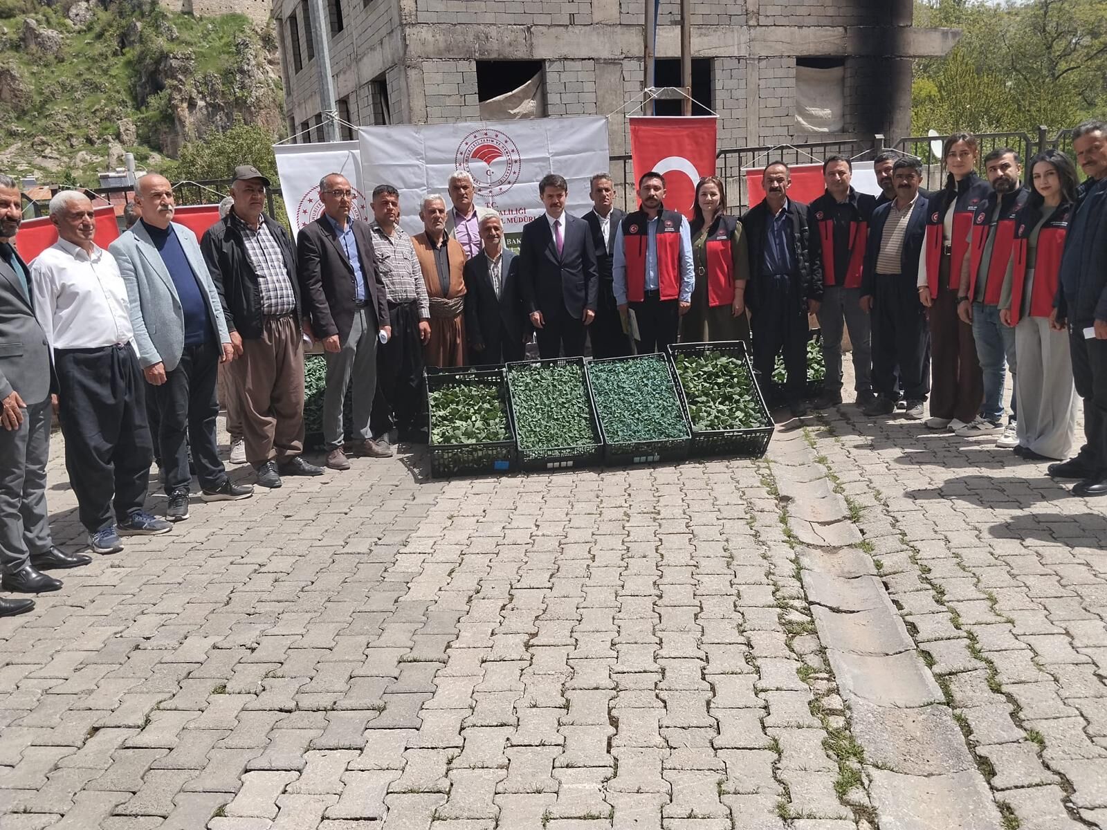Çukurca'da çiftçilere 34 bin fide aşılı dağıtıldı