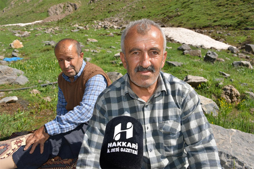 Hakkari yaylalarında pancar mesaisi devam ediyor