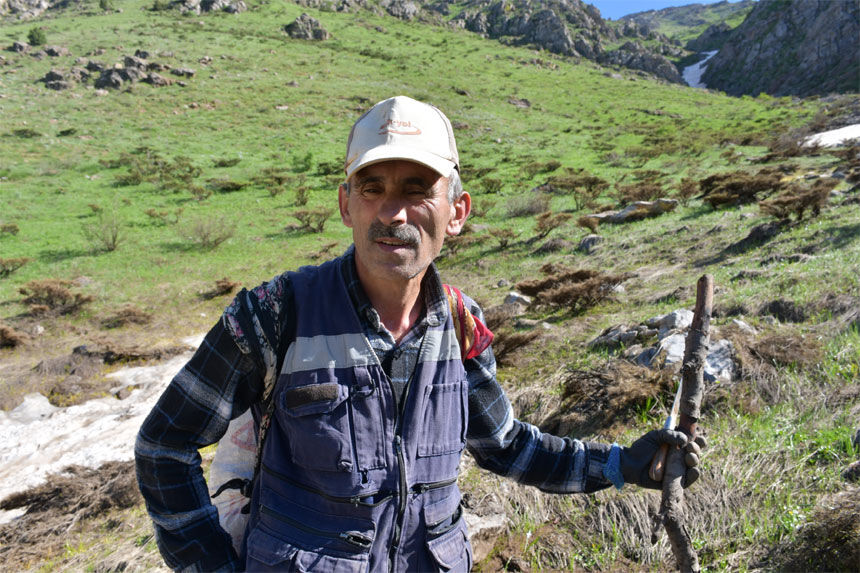 Hakkari yaylalarında pancar mesaisi devam ediyor