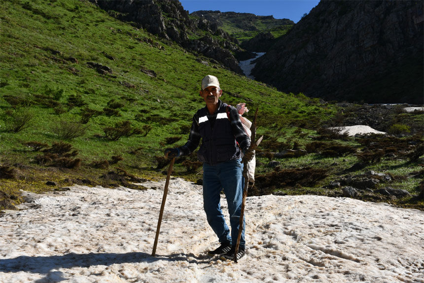 Hakkari yaylalarında pancar mesaisi devam ediyor