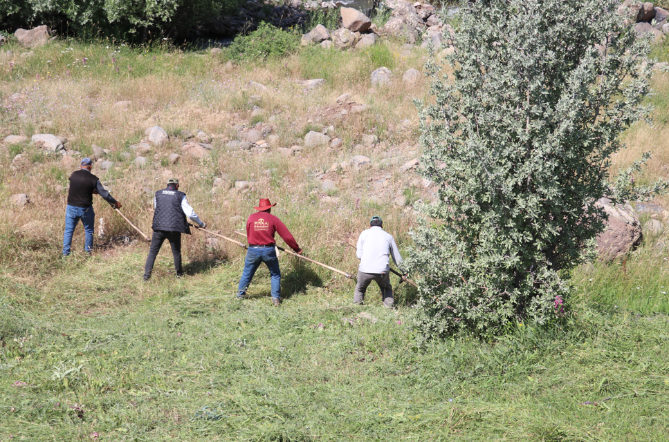 Çiftçiler kışlık yem için tırpan mesaisinde