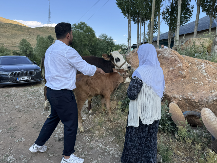 Hakkari'de mağdur aileye 2 inek ve 2 buzağı desteği