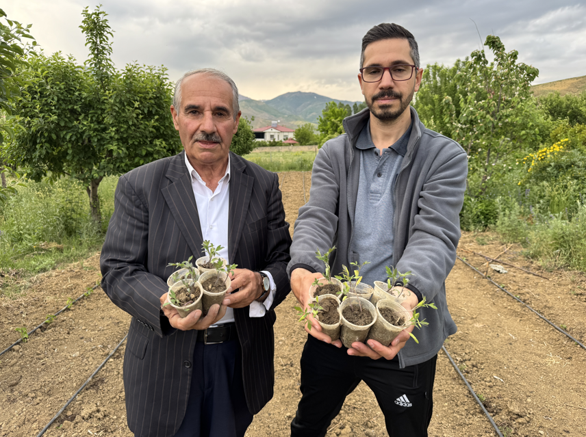 Hakkarili Çiftçi 32 Yıllık Ata Tohumlarını Yaşatıyor