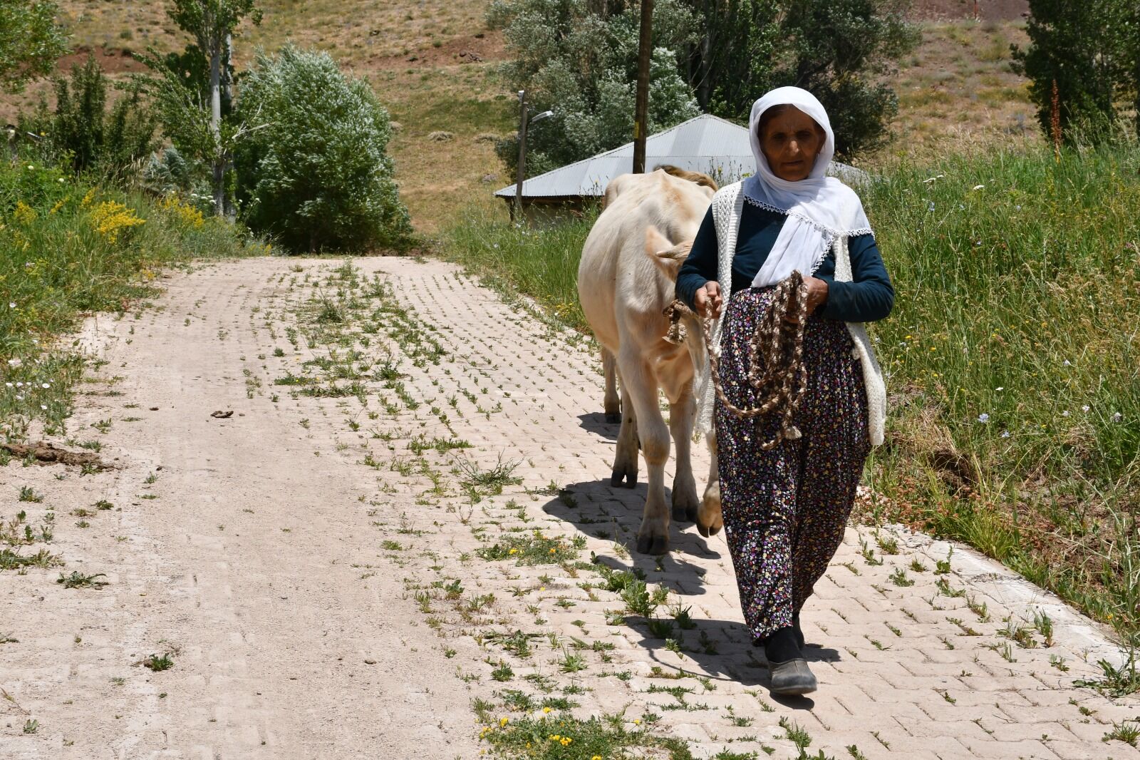 İstanbul'dan Hakkari'ye hayırsever desteği