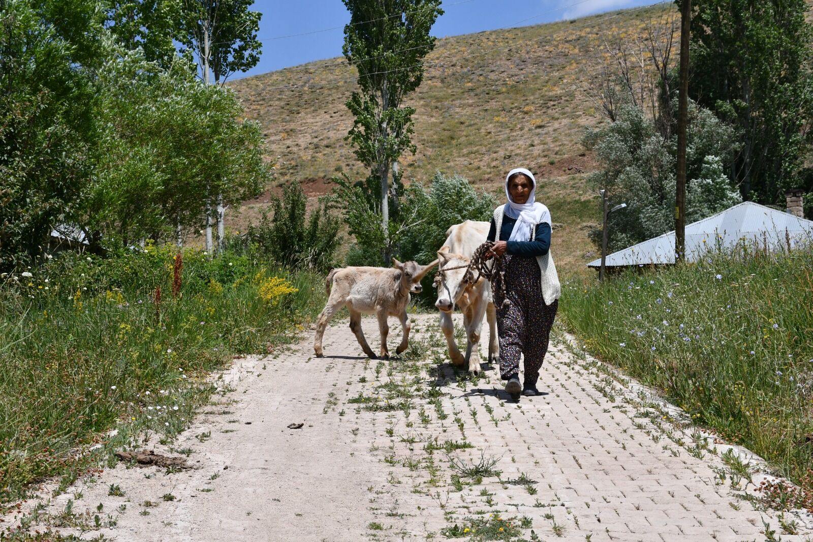 İstanbul'dan Hakkari'ye hayırsever desteği