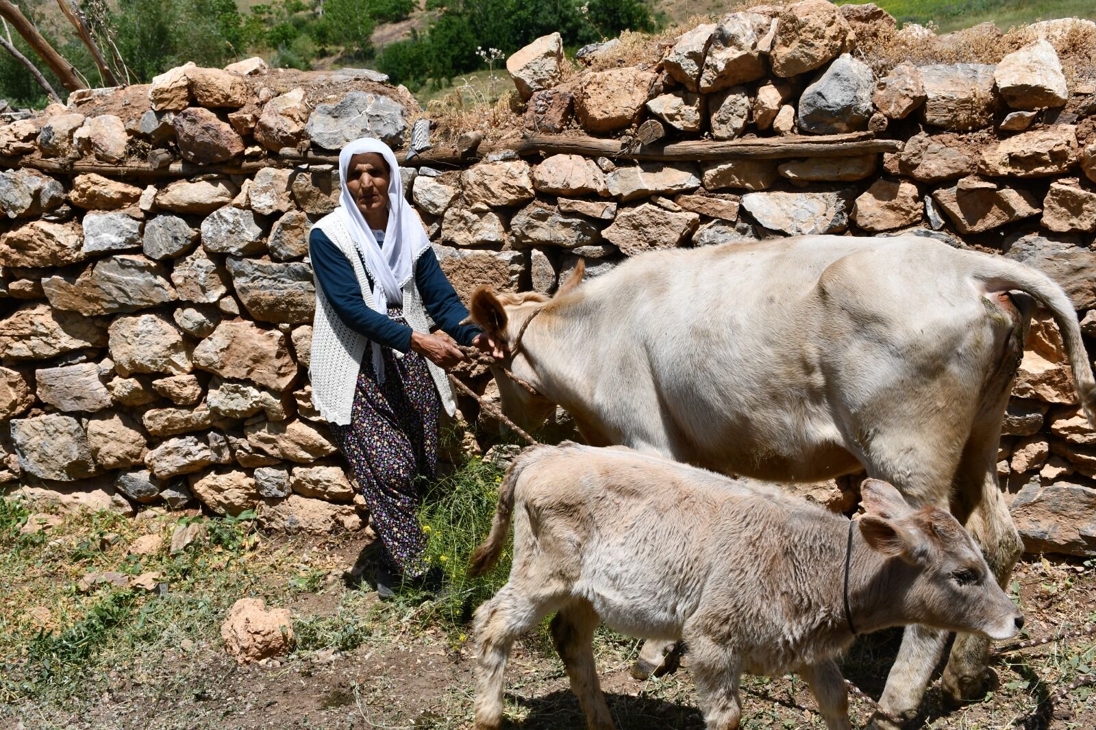 İstanbul'dan Hakkari'ye hayırsever desteği
