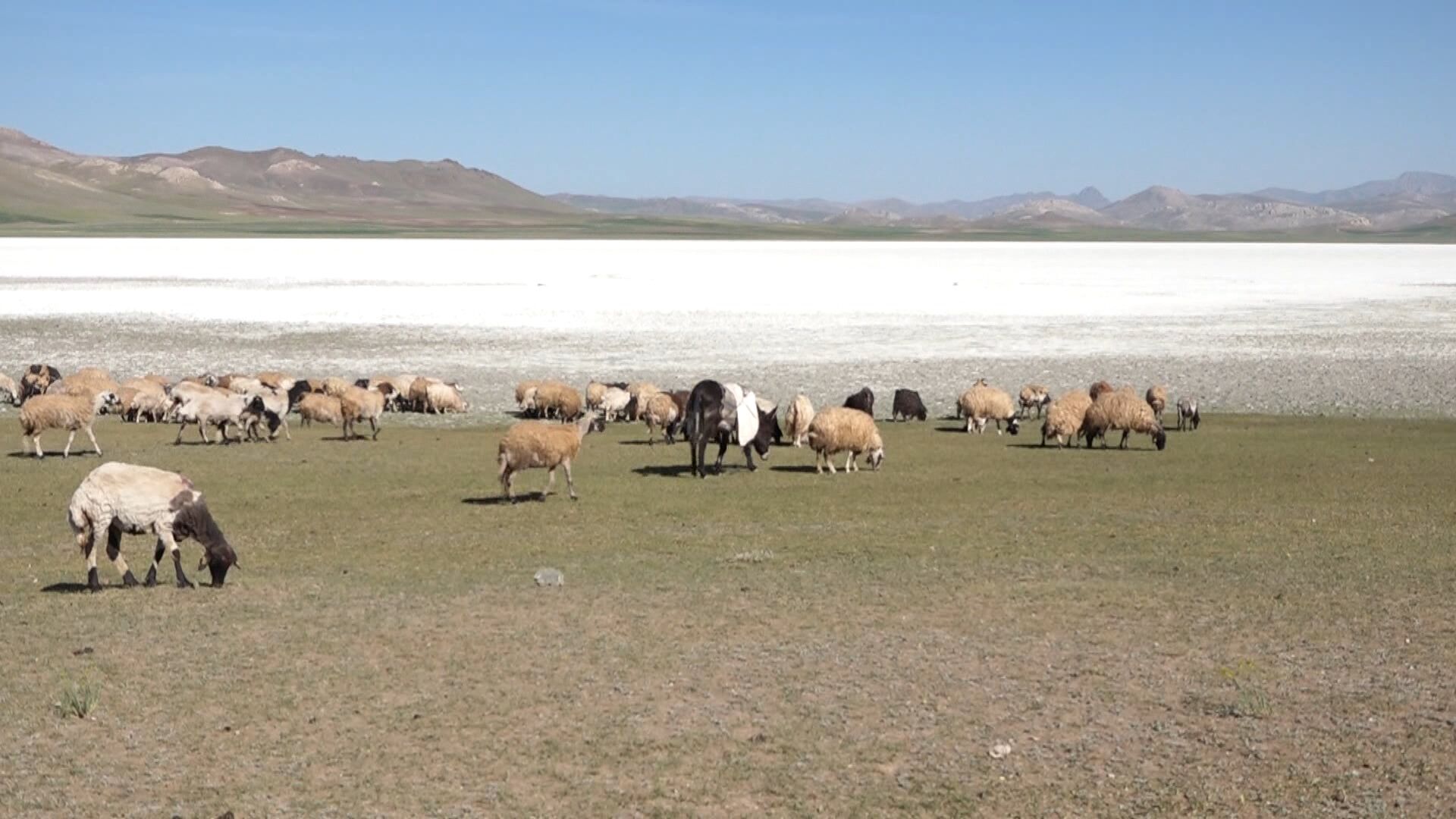 Yağışlarla dolan Akgöl paraşüt gösterisiyle tanıtıldı