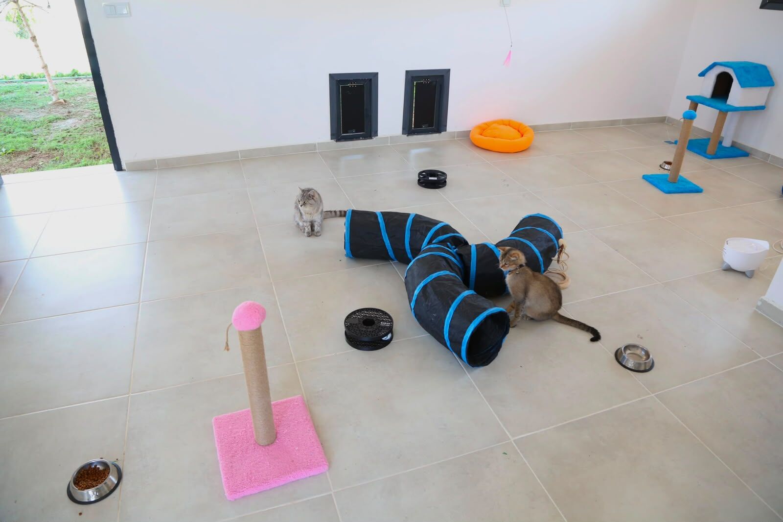 Van'da sahipsiz kediler için Kedi Evi hizmete açıldı