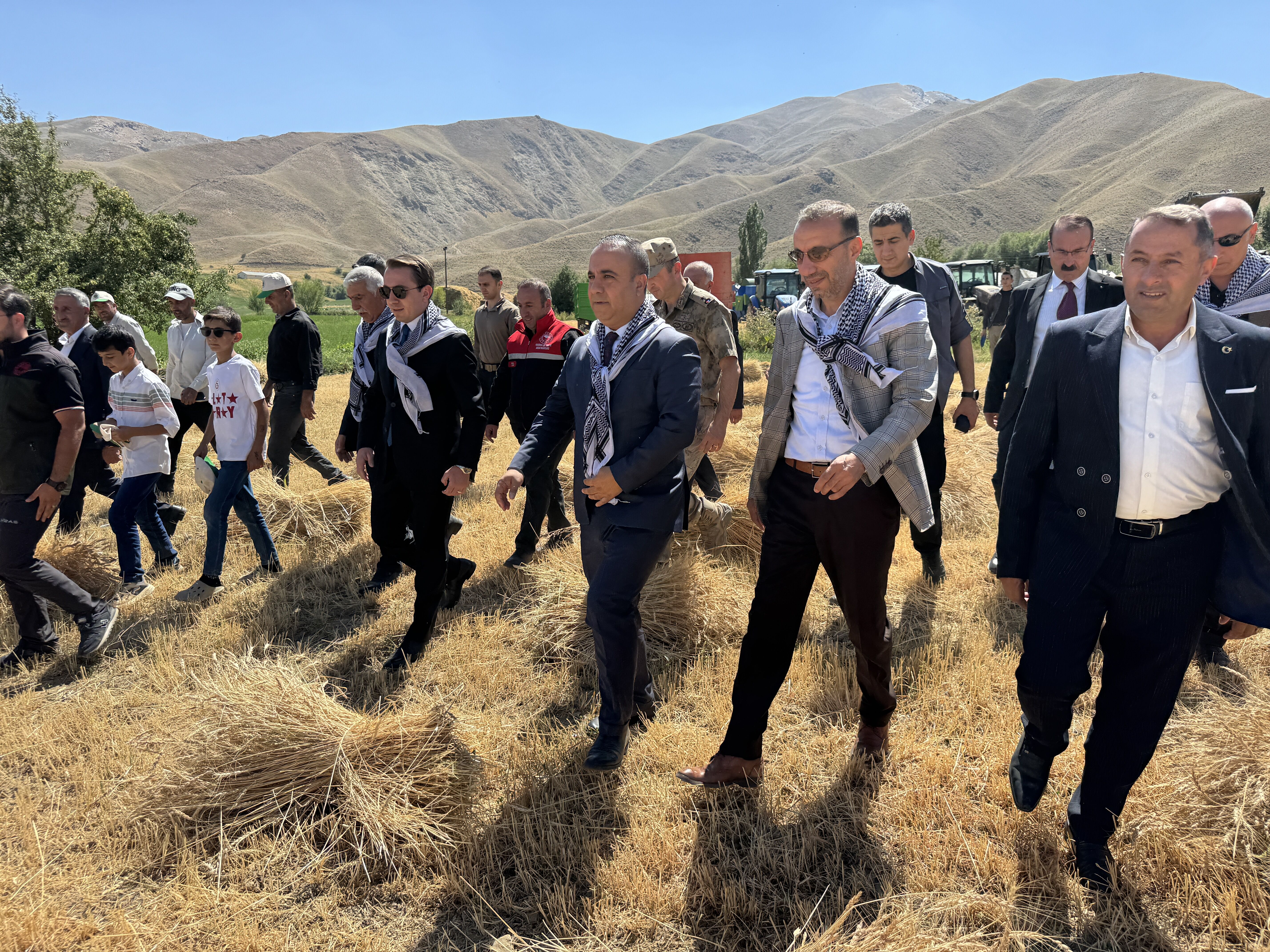 Hakkari'de buğday hasadı şenlikle başladı