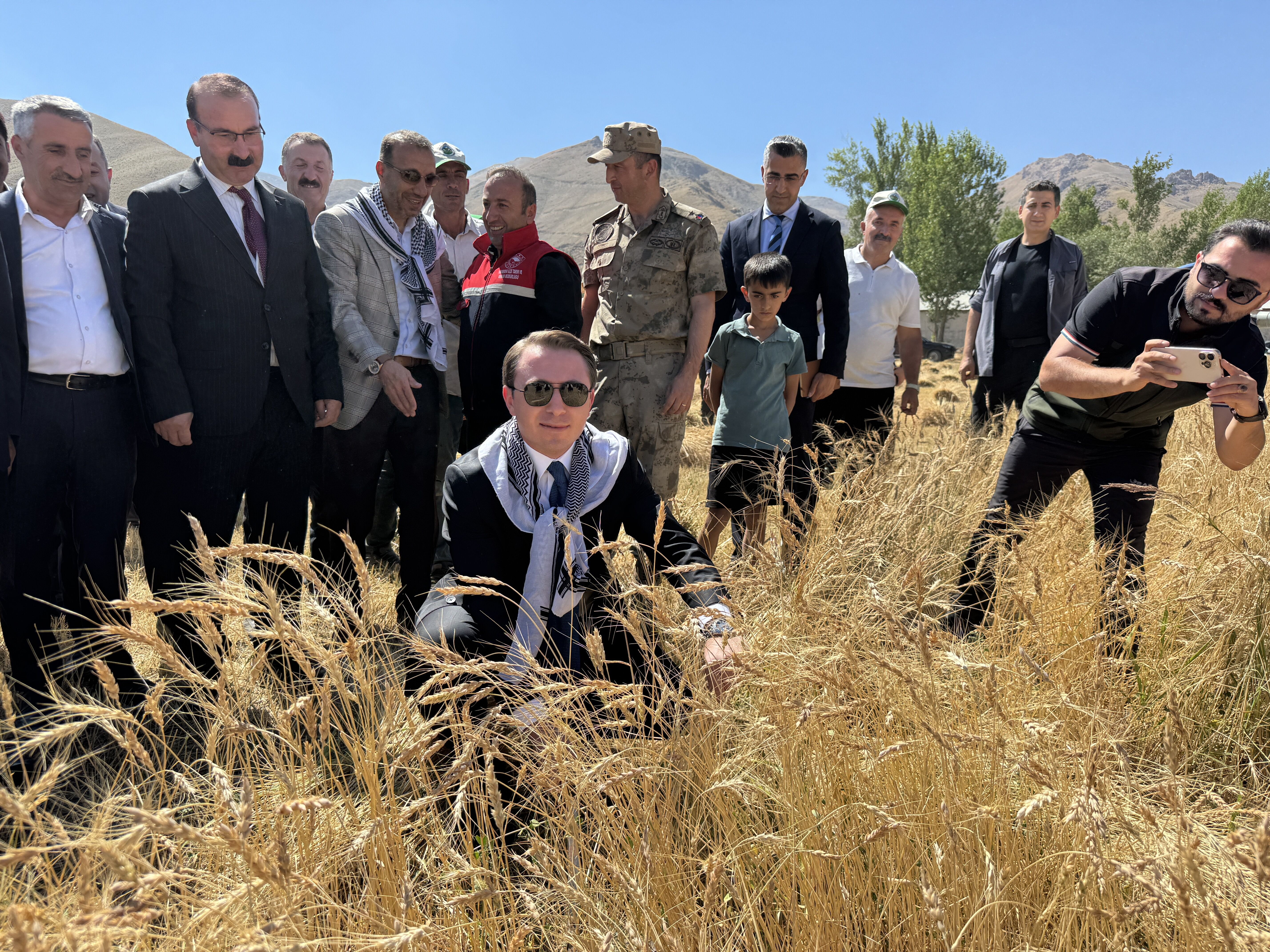 Hakkari'de buğday hasadı şenlikle başladı