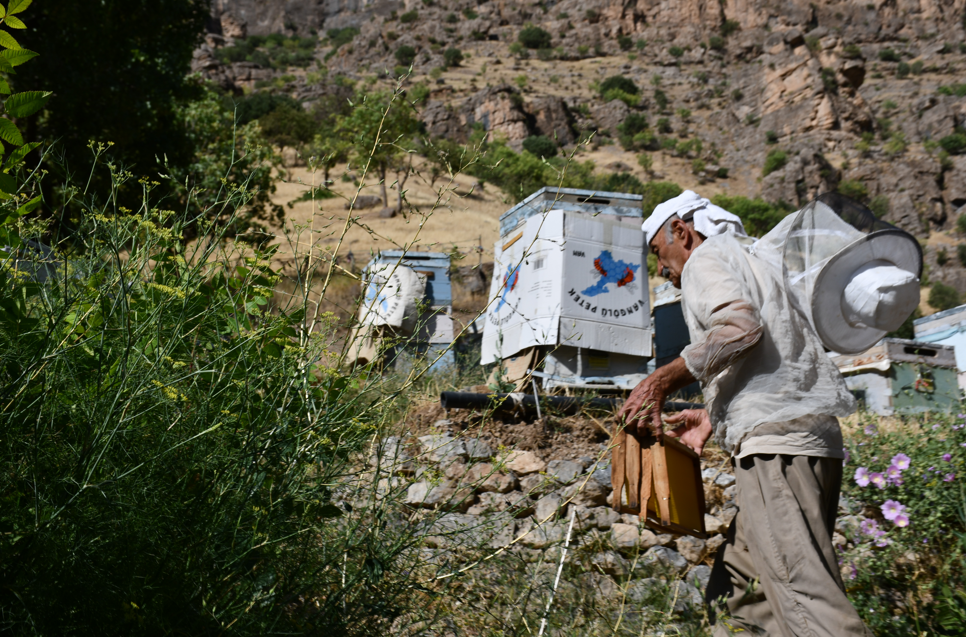 Hakkari’de arıcılığa adanmış bir hayat