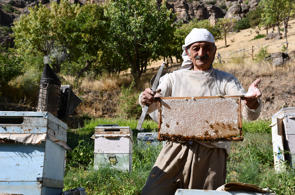 Hakkari’de arıcılığa adanmış bir hayat