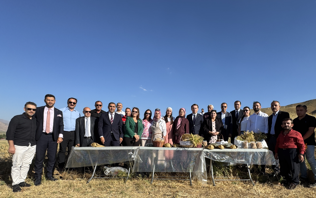 Yüksekova'da kadınların yetiştirdiği nohudun hasadı yapıldı