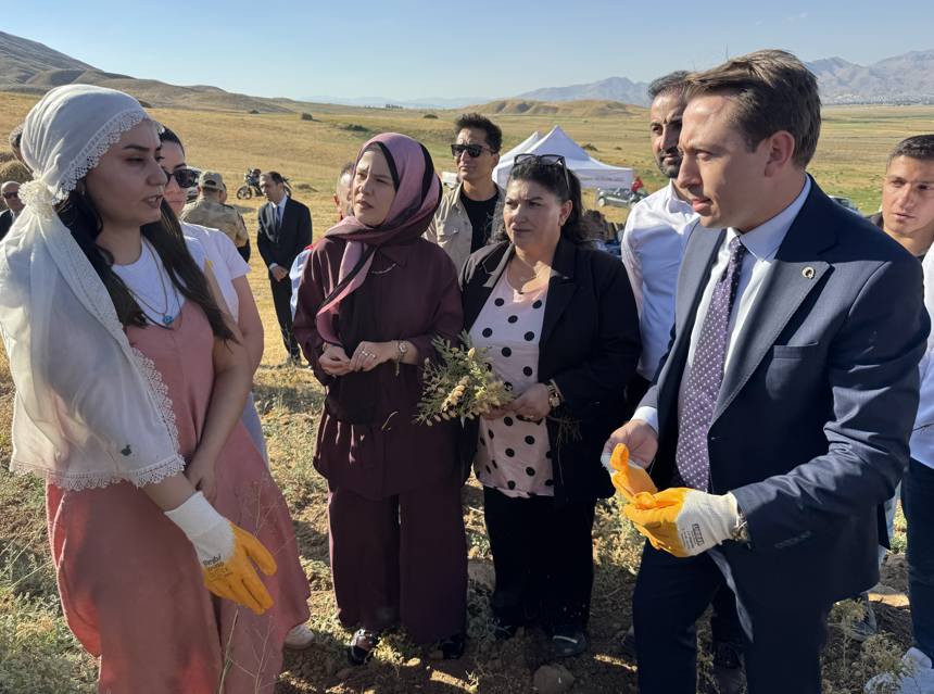 Yüksekova'da kadınların yetiştirdiği nohudun hasadı yapıldı