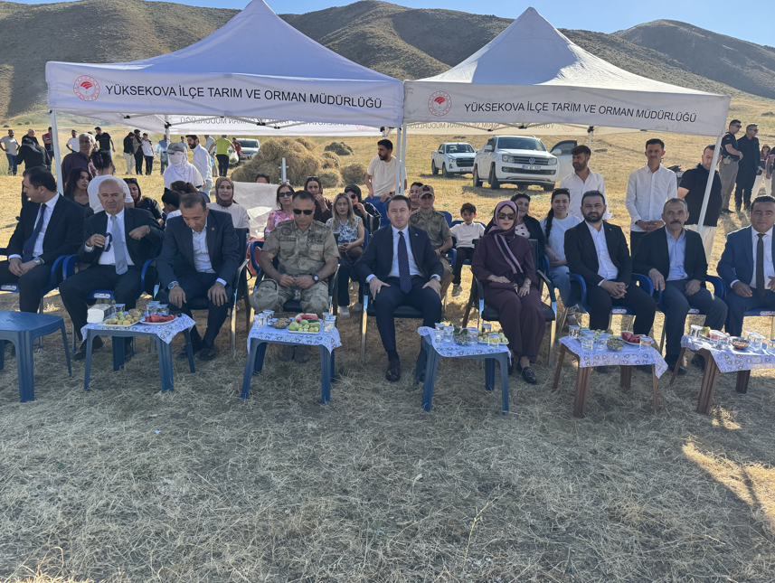Yüksekova'da kadınların yetiştirdiği nohudun hasadı yapıldı