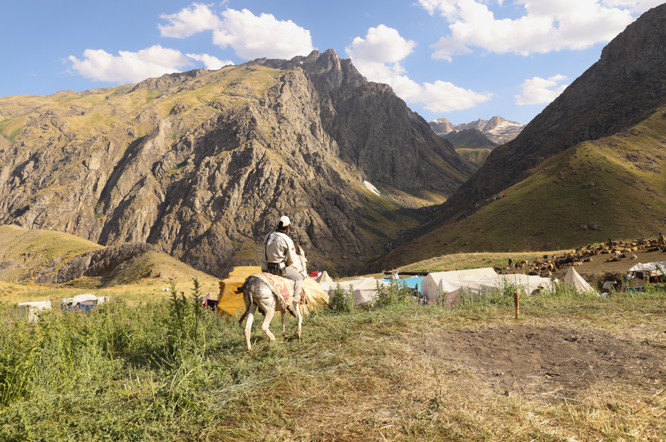 Hakkari yaylalarında kadınların zorlu süt mesaisi