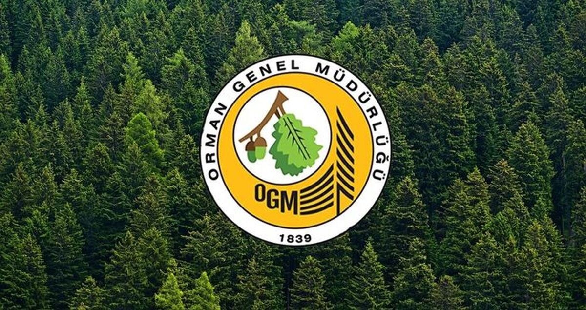 Orman Genel Müdürlüğü çok sayıda personel alacak