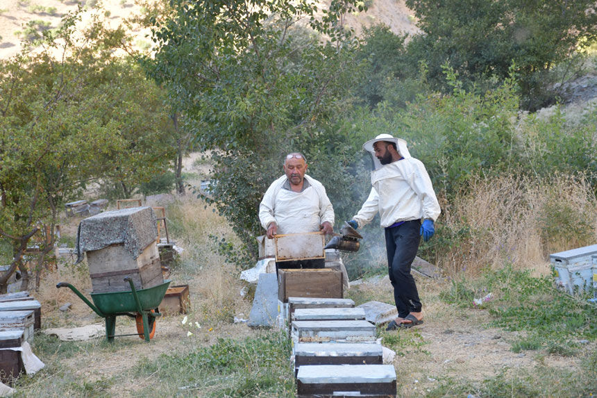 Karadenizli arıcı 50 yıldır Hakkari’de bal üretiyor