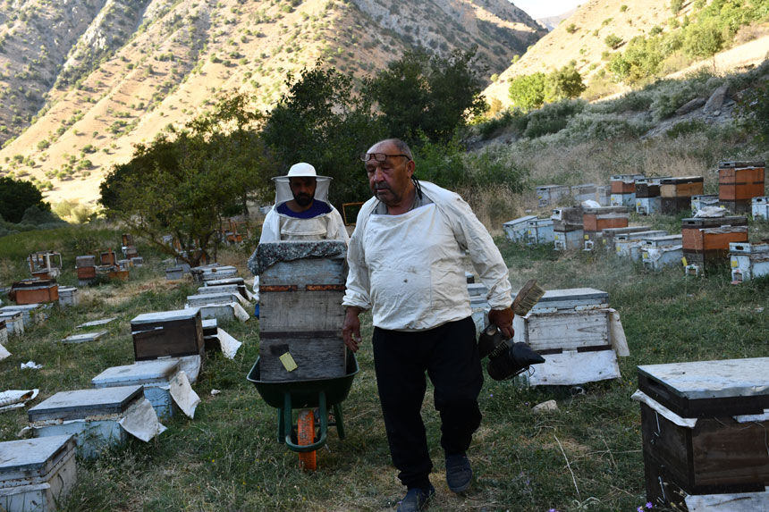 Karadenizli arıcı 50 yıldır Hakkari’de bal üretiyor