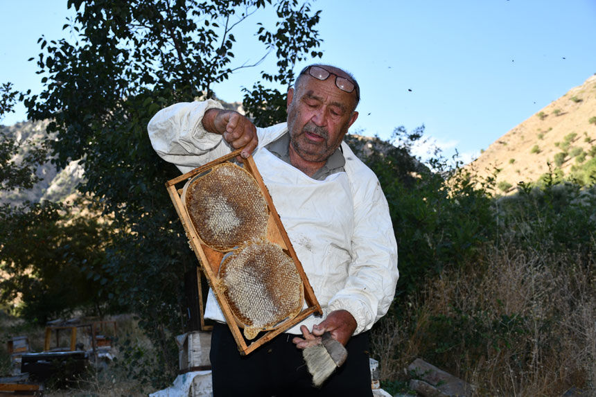 Karadenizli arıcı 50 yıldır Hakkari’de bal üretiyor