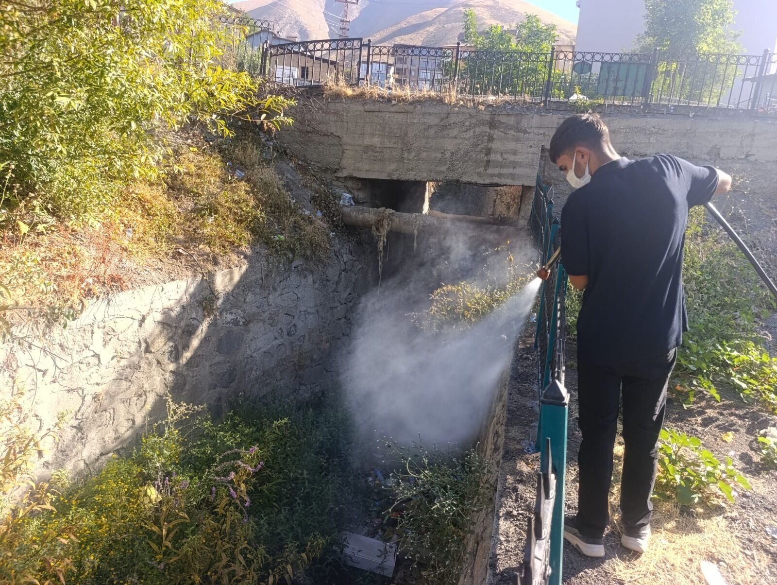 Belediye İlaçlama