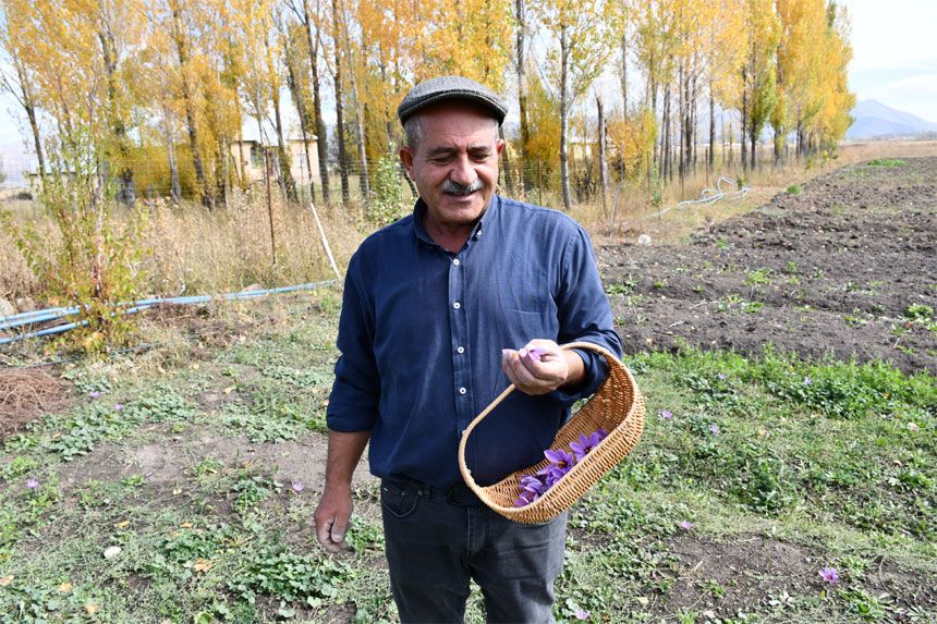 Hakkari’de ilk kez ekildi, kilosu 950 bin lira!