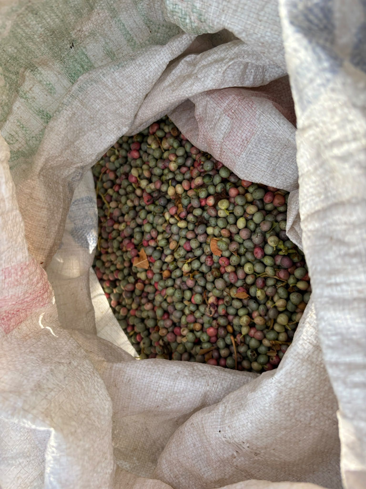 3-2186