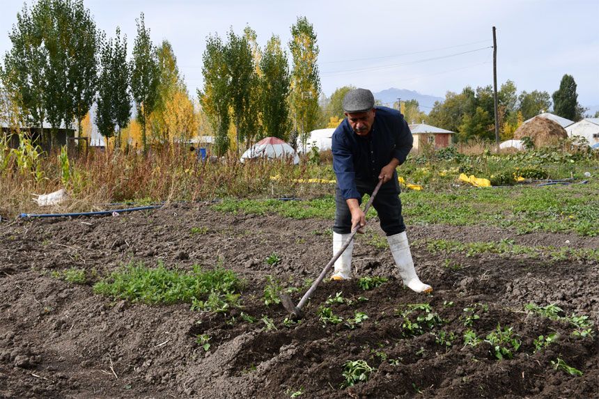 Hakkari’de ilk kez ekildi, kilosu 950 bin lira!